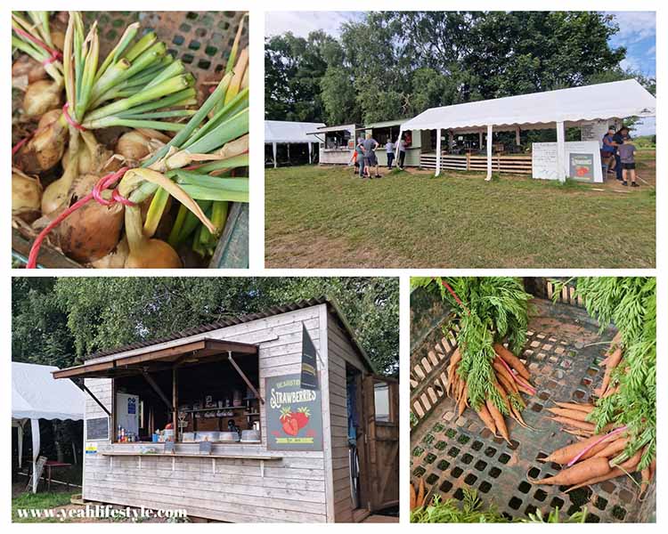 Family Day Out Review: Bearstone Fruit Farm