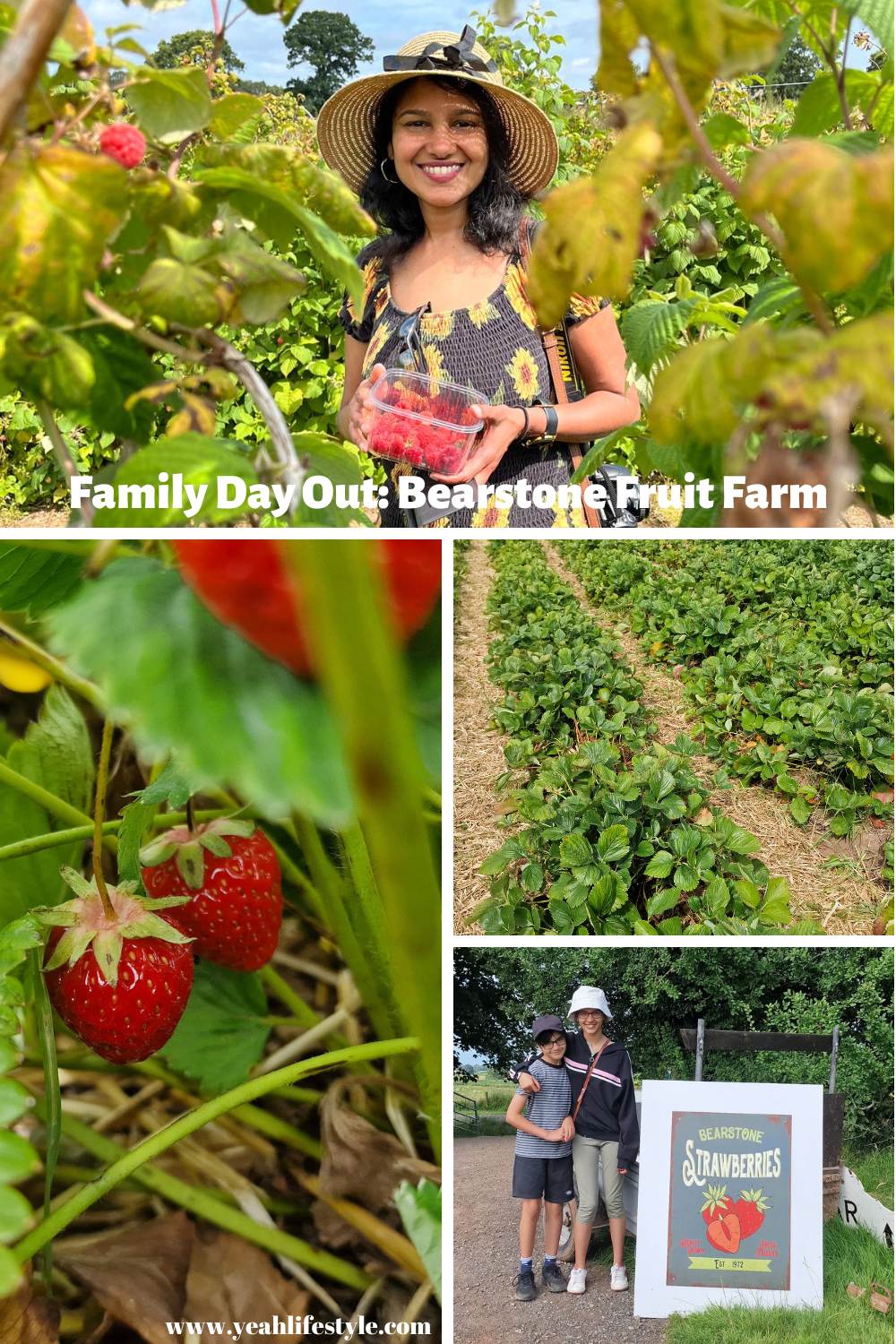 Family Day Out Review: Bearstone Fruit Farm