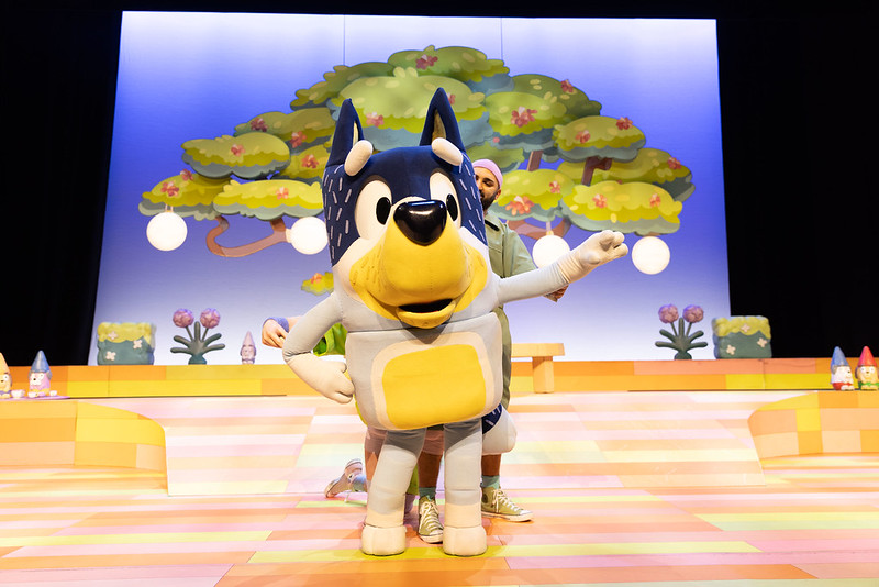 Cast of Bluey's Big Play