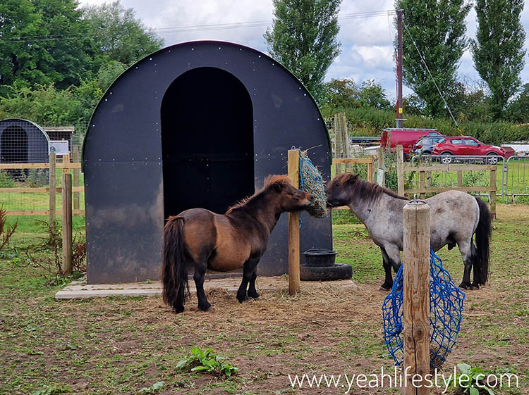 Family Outing Review: Gentleshaw Wildlife Centre