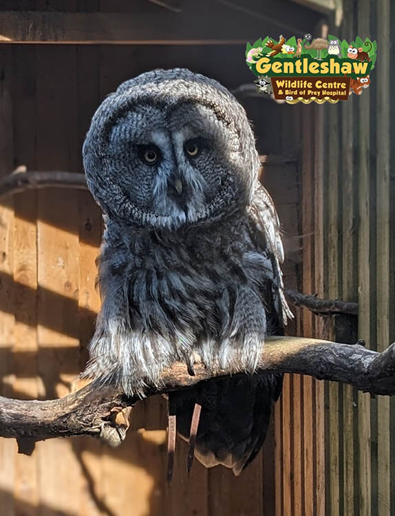 Family Outing Review: Gentleshaw Wildlife Centre