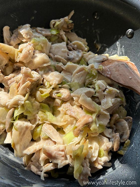 Chicken Mushroom and Leek Pie Recipe