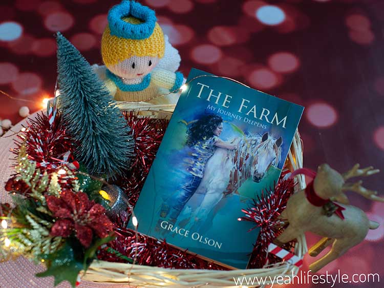 Christmas Gift Guide - Book Gift Ideas for Adults