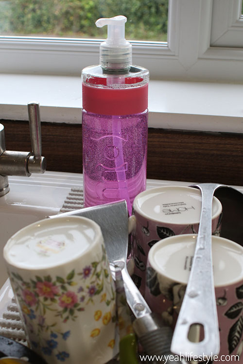 Cleaning Product Review with Smol