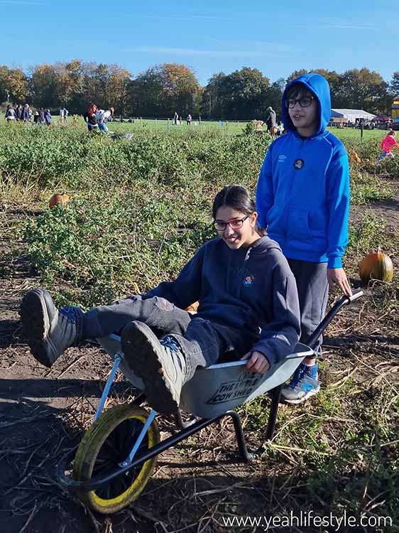 Family Day Out: Pumpkin Picking at The Little (Creepy) Cow Shed