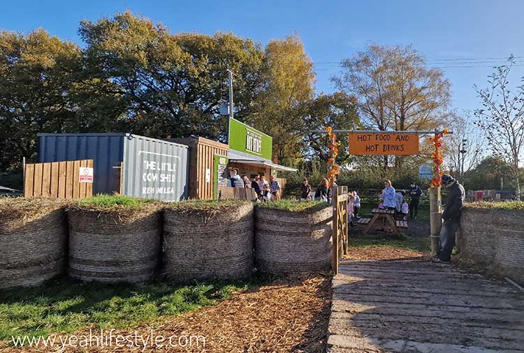 Family Day Out: Pumpkin Picking at The Little (Creepy) Cow Shed