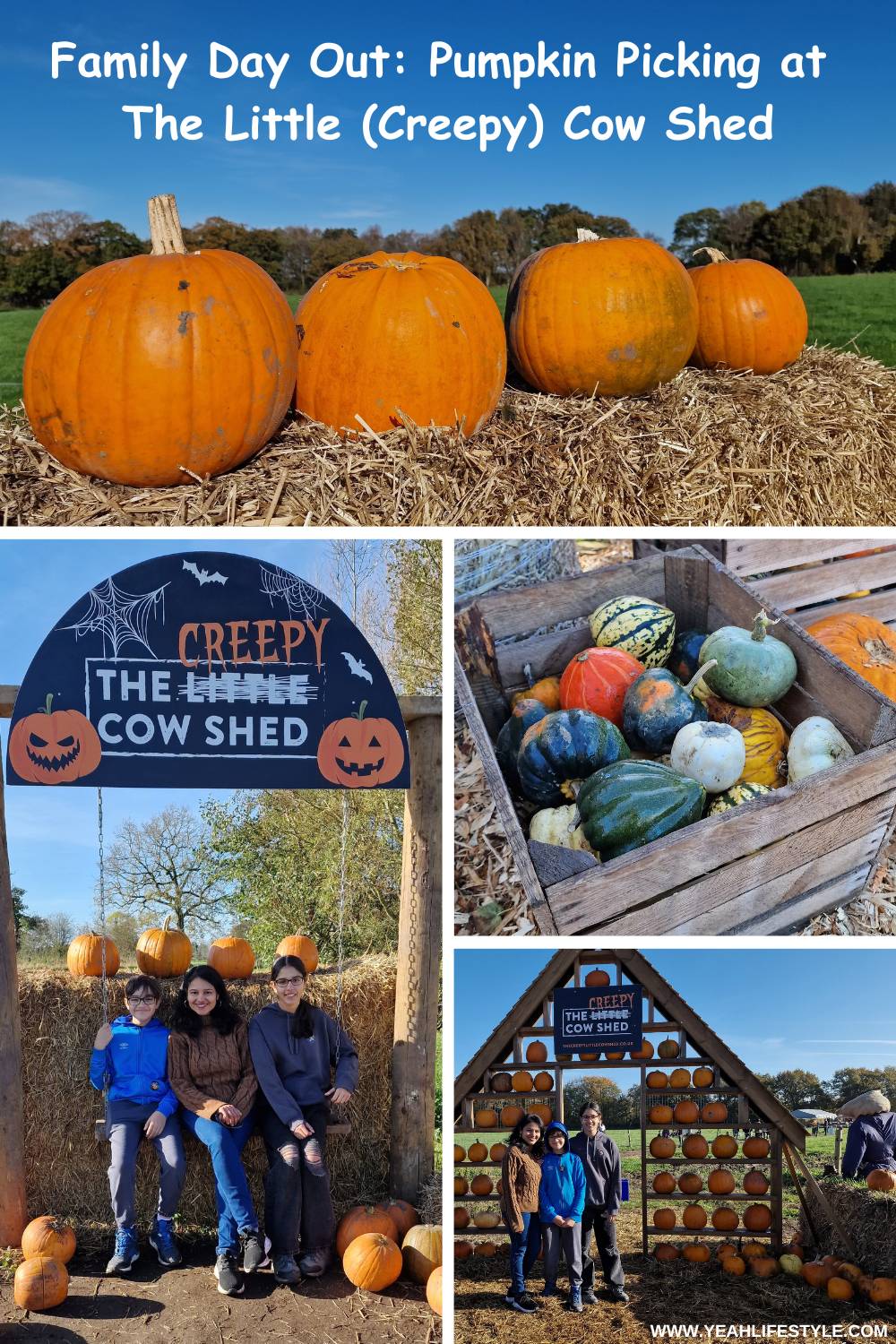 Family Day Out: Pumpkin Picking at The Little (Creepy) Cow Shed