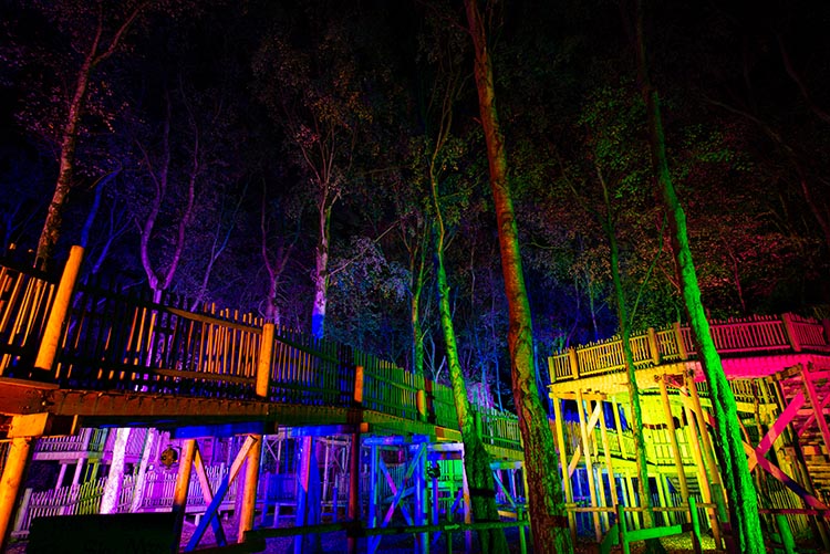 Review: Twig or Treat at The Glorious Glowing Lantern Parade