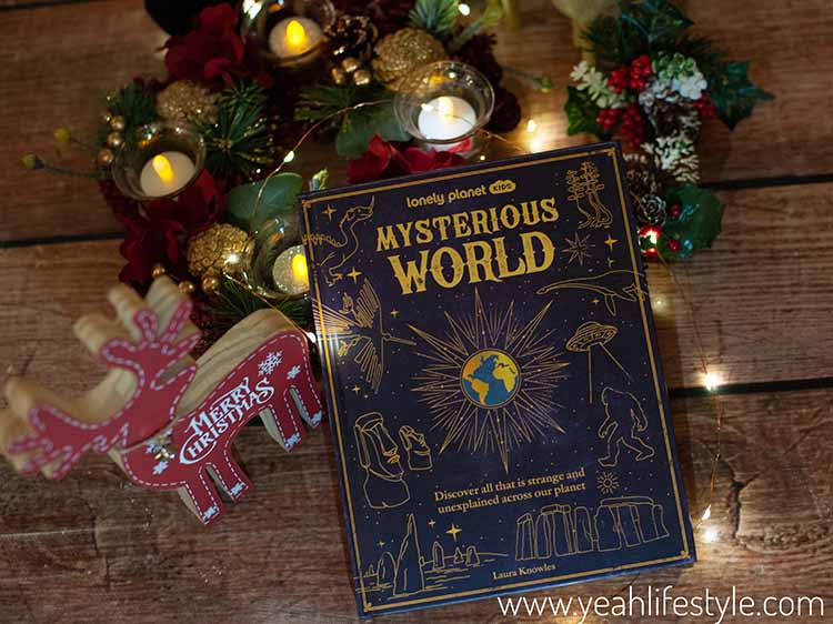 Christmas Gift Guide - Book Gift Ideas for Teens and Young Adults
