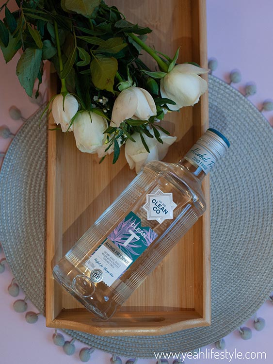 January Guide - All about Living Clean & Being Healthy