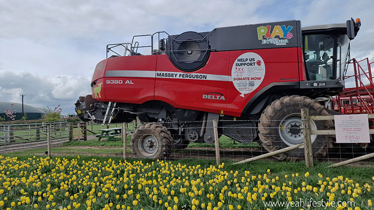 Easter Family Outing Review: Play @ Lower Drayton Farm
