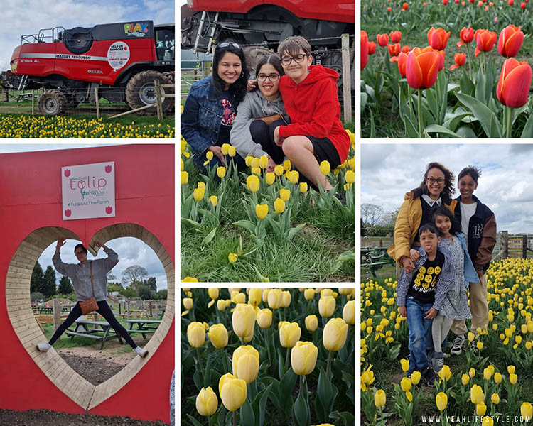 Easter Family Outing Review: Play @ Lower Drayton Farm