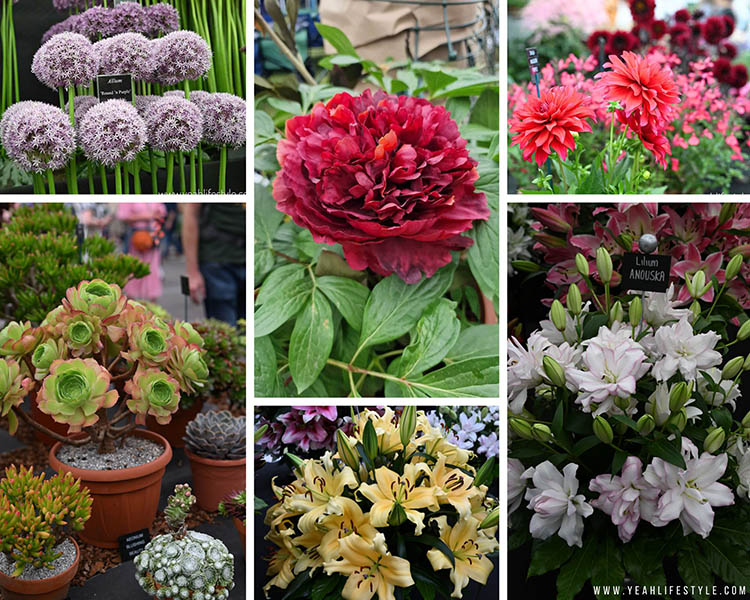 Review: BBC Gardeners' World Live and Good Food Show Summer 2025