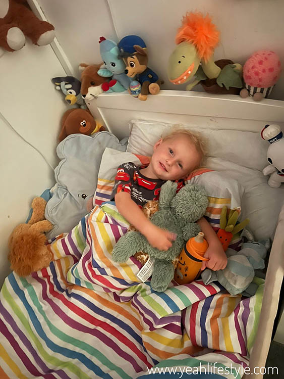 Children's Toy Review: Warmies® Baby Turtle