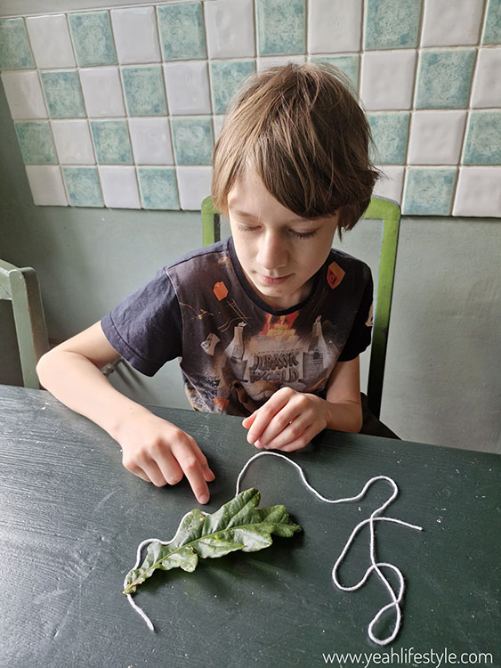Book Review: A Creative Approach to Teaching Science Outdoors