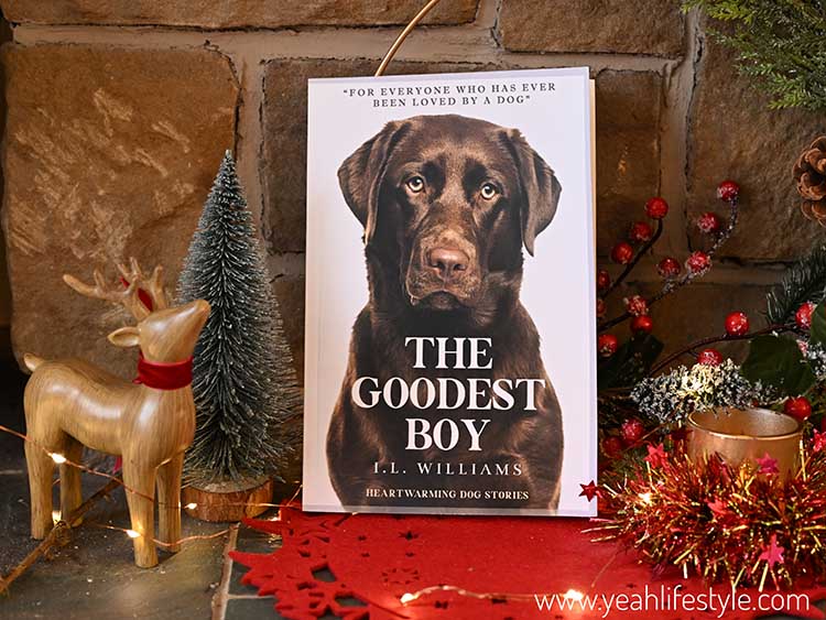 Christmas Adult's Book Gift Guide : Countdown to Christmas in Style