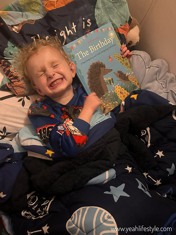 Children's Book Review: The Birthday