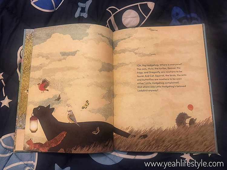 Children's Book Review: The Birthday