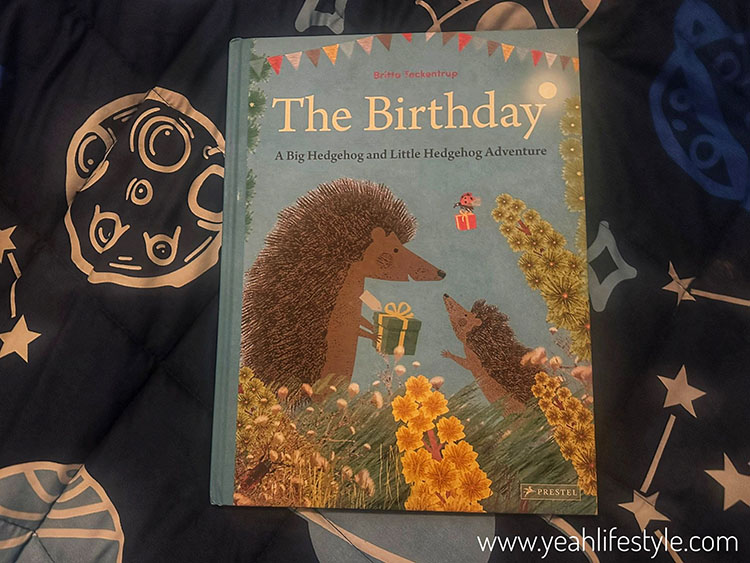 Children's Book Review: The Birthday