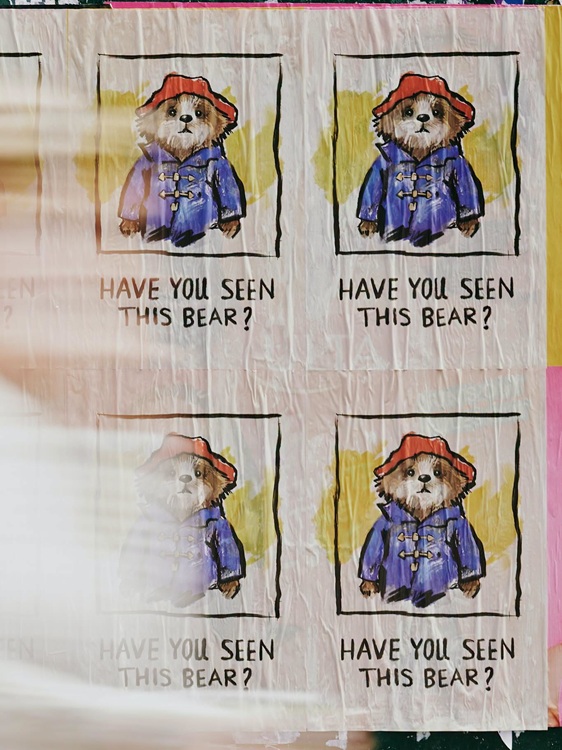 Images from Paddington the Musical