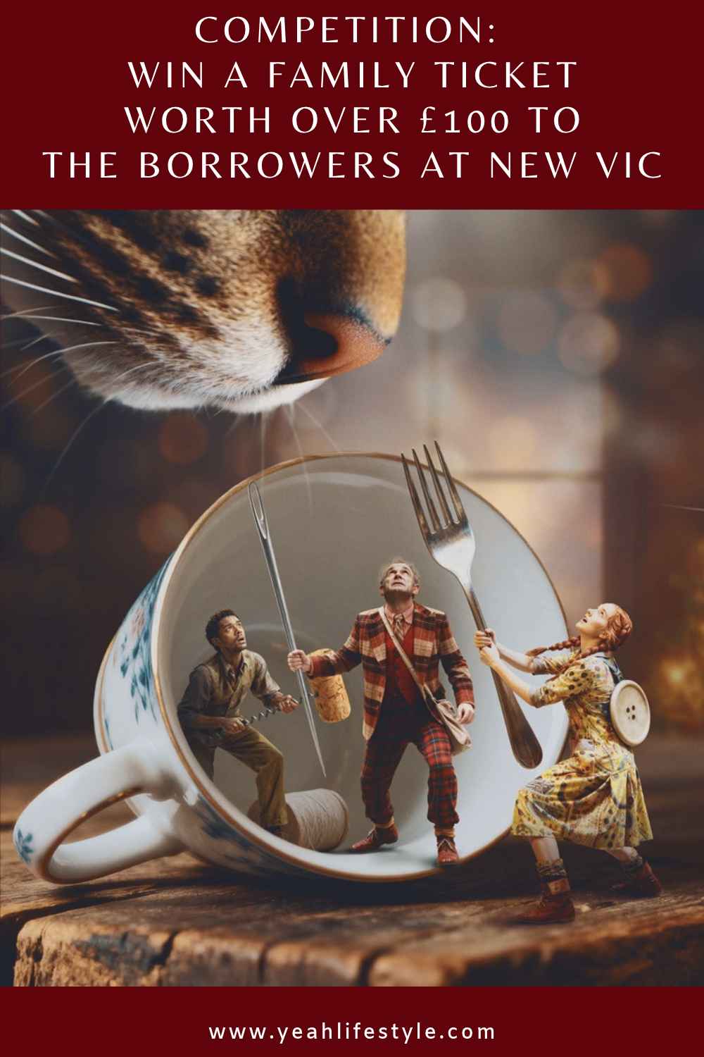 Win a family ticket worth over £100 to The Borrowers at New Vic